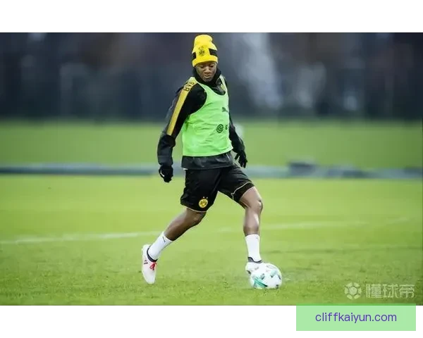 洛伦特状态回暖，近期表现稳健备受关注