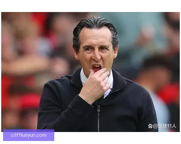 扎伊尔埃梅里技术全面性备受关注，未来将成为球队重要核心。