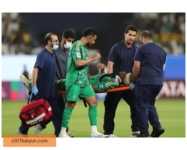 丹麦欧预赛表现稳健，球队在小组赛中持续展现竞争力与团队配合