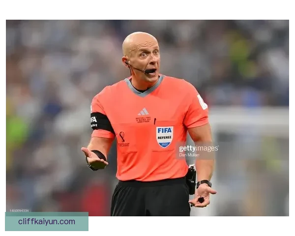 世界杯争议判罚引发热议，各方观点交锋分析明确现阶段态势